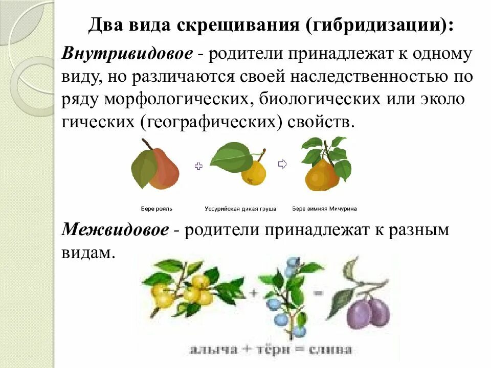 Скрещивания разных