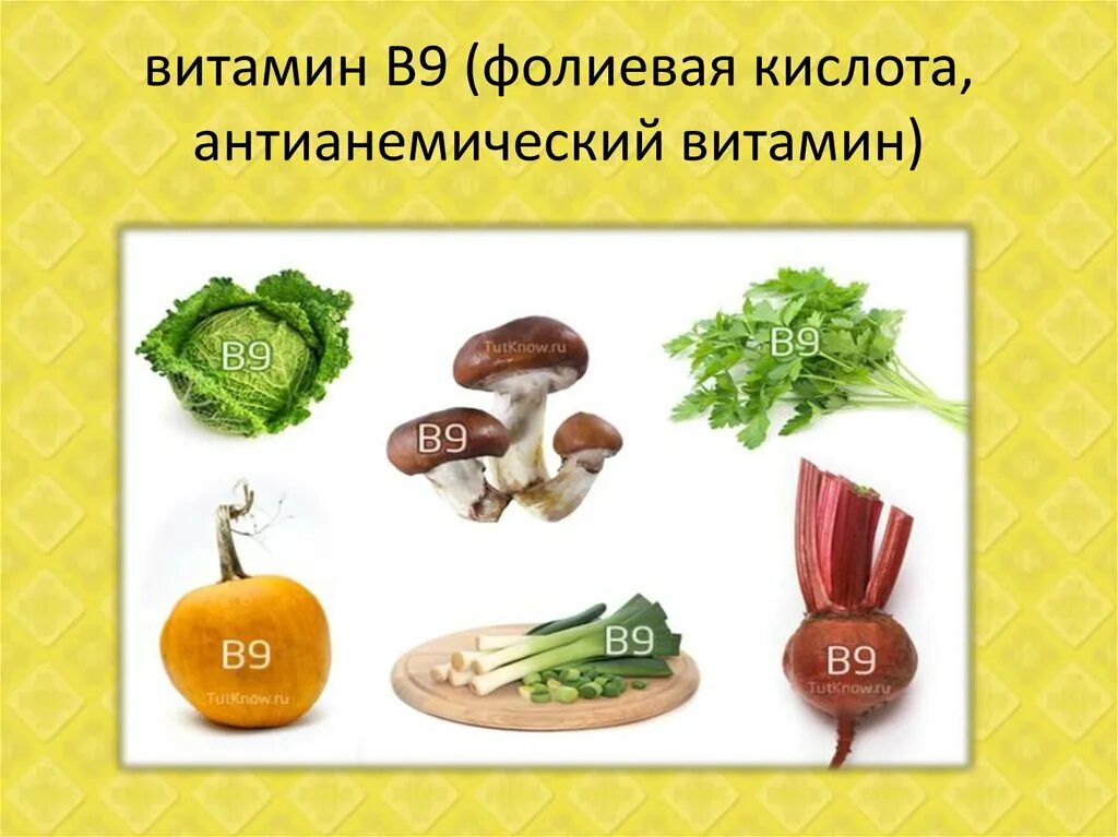 Витамин в 9 содержится в. Фолиевой кислотой (витамином в9). водорастворимые витамины b9. фолиевая кислота витамин в9. витамин в 9 фолиевая.