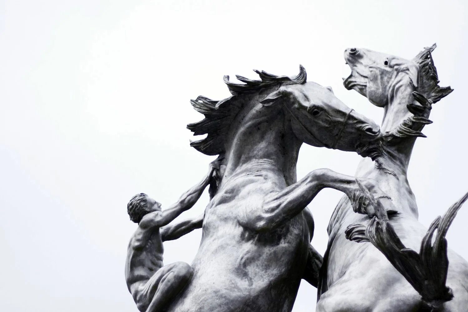 Скульптура на коне. Йозеф торак конные статуи. Скульптура коня. Скульптура лошади в анфас. Античная скульптура.