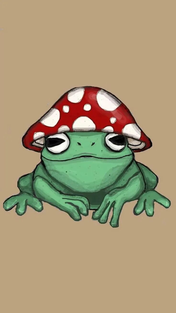 Account Suspended Frog pictures, Cute frogs, Frog