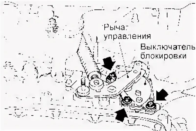 Яростно рычал в управление. Яростно рычал в управление