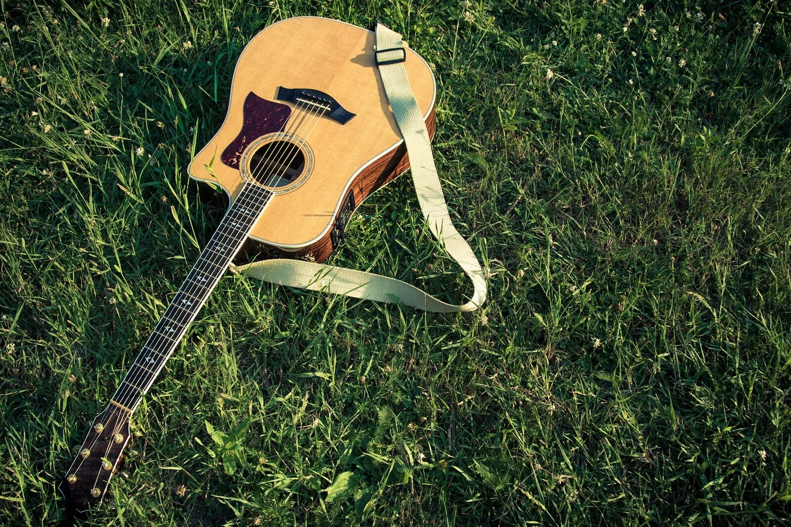 Песня гулять полная. Гитара на природе. Акустическая гитара в природе. Гитара на траве. Гитара летом.