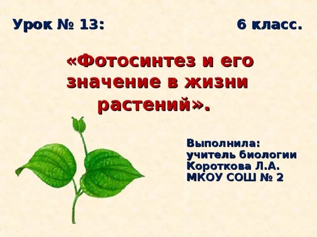 Каково значение деления в жизни растения. Фотосинтез 6 класс. Фотосинтез 6 класс биология. Значение фотосинтеза. Фотосинтез 6 класс биология презентация.