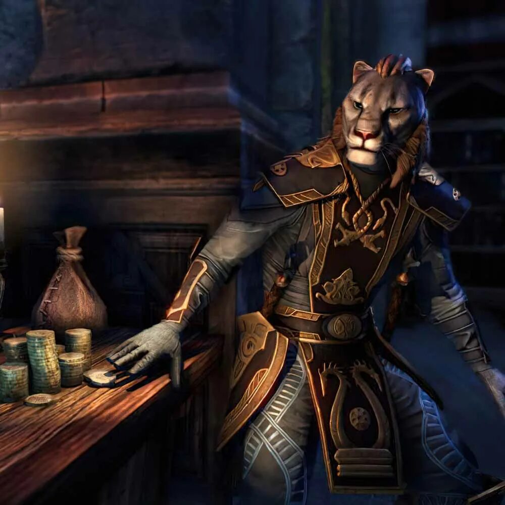 Teso гильдии. Teso некромант арт. Каджиты the elder scrolls 6. Гильдия магов tes. Teso thief.