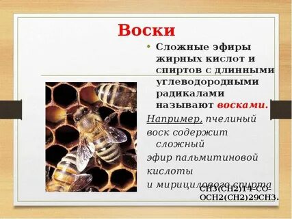 Воски сложные эфиры