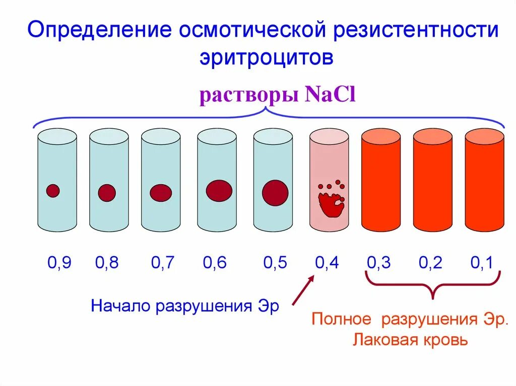 Резистентность крови. Методика исследования осмотической стойкости эритроцитов. Осмотическая резистентность эритроцитов норма. Осмотическая резистентность эритроцитов метод определения. Минимальная осмотическая резистентность эритроцитов норма.