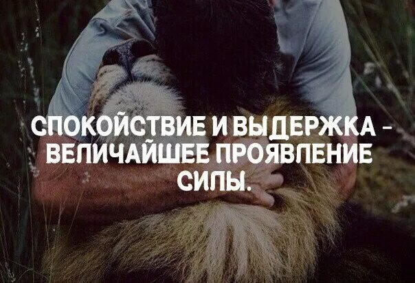 Стихи с или. Книги г. Выдержка фотоаппарата обозначение. Александр григорьев стихи. Красивые цитаты.