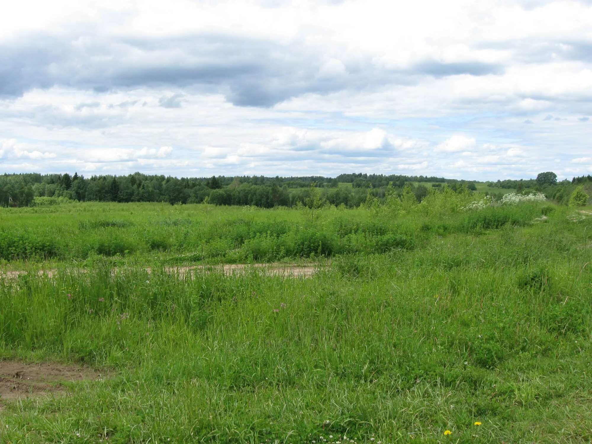 земельный участок г бор. сосновый бор красноярск поселок. налог земля 7 сотохсельхозназначения. природа борского района нижегородской области. серебряный бор 2 коттеджный поселок.