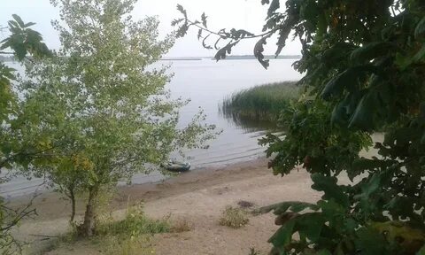 Зеленый волгоградская область