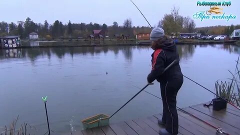 Лыткин платная рыбалка
