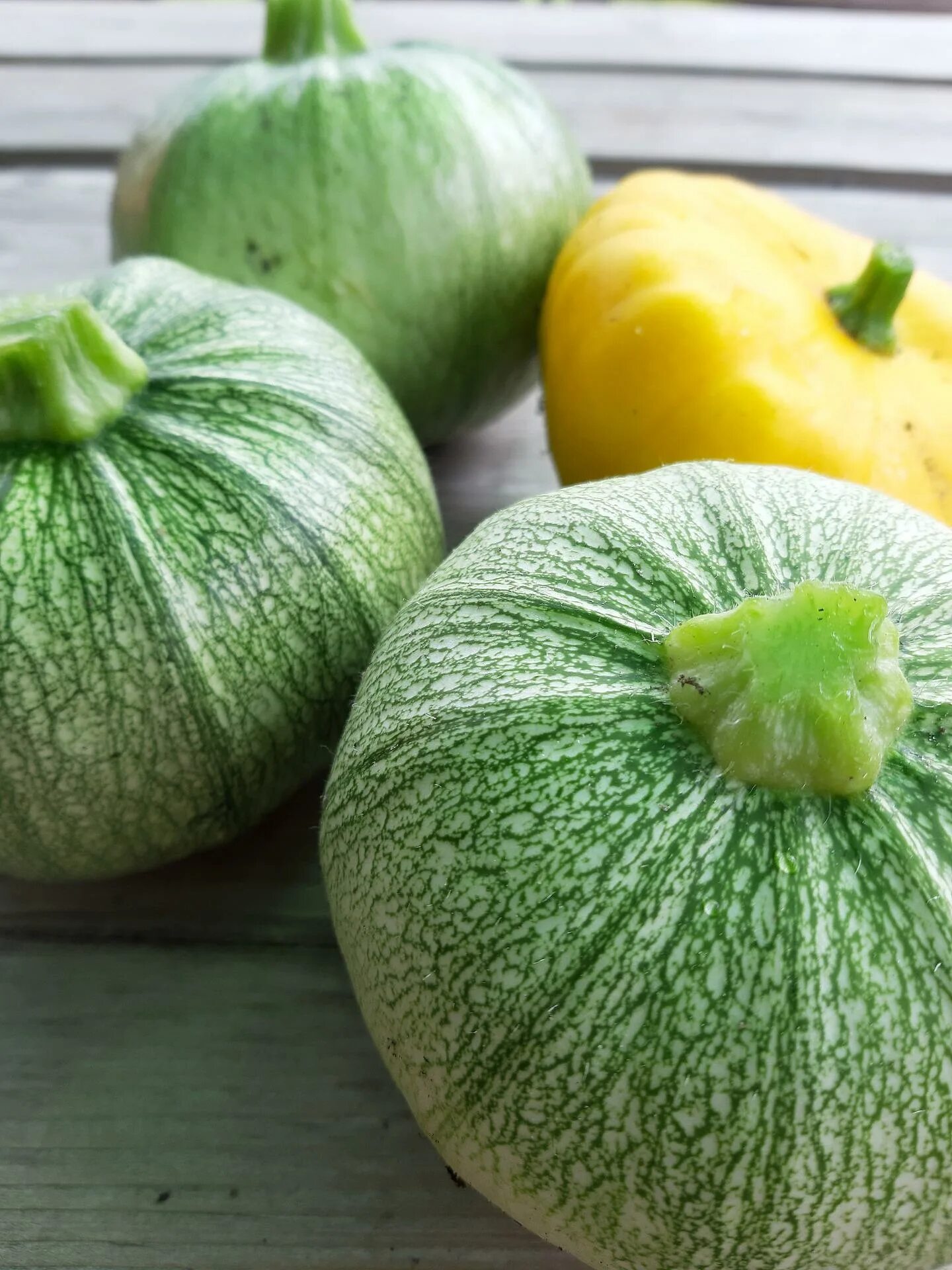 Кабачки цуккини. Кабачок цуккини ерема. Кабачки патиссоны тыквы. Желтые овощи. Кабачок это фрукт.