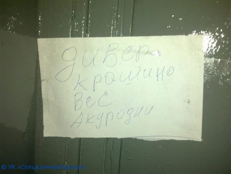 Чушь синоним. Осторожно окрашено. Вот чушь. Чушь несусветная. Осторожно окрашено картинки.