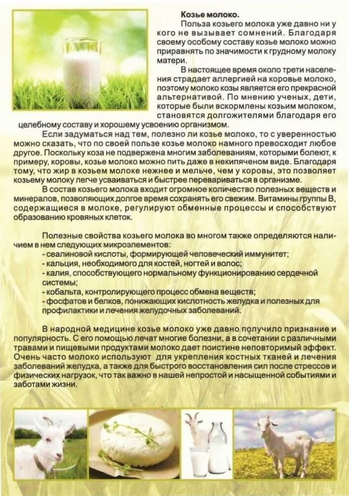 Можно ли давать детям козье молоко. Козье молоко полезно. польза козьего молока. чем полезно козье молоко. козье молоко польза.