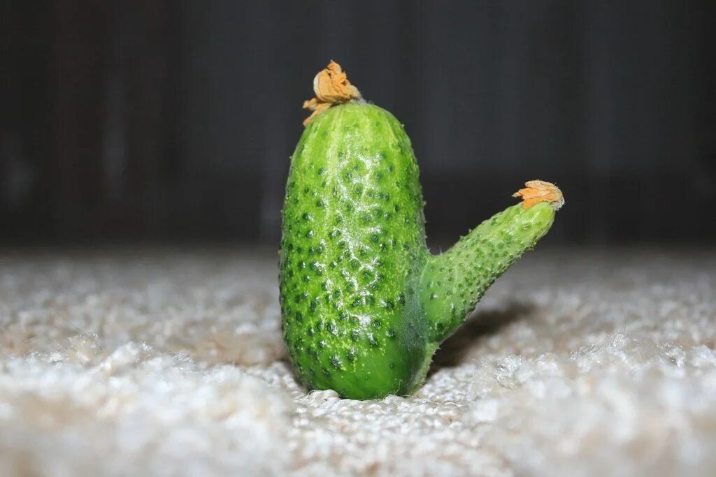 Маленький мужской пенис. Маленький мужской член. Небольшой член картинки. Малинки челен. Малинки челен.