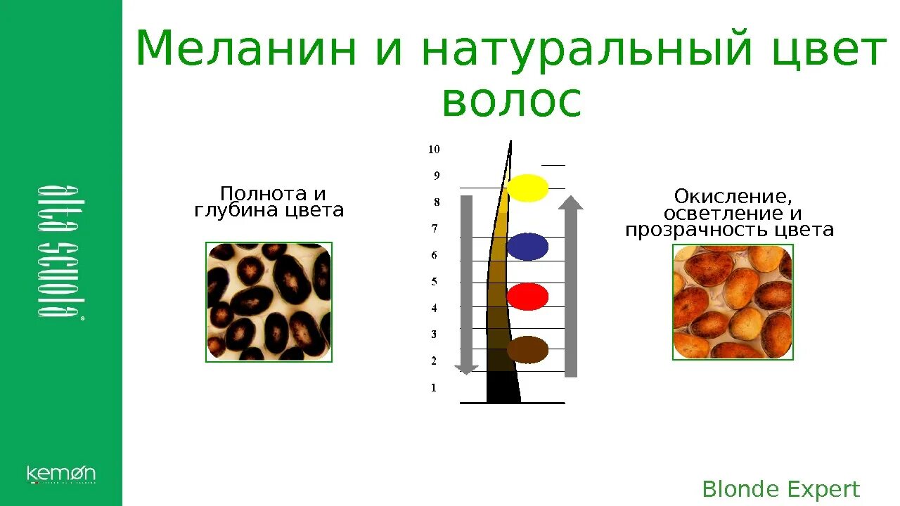 Строение пигментов. Меланин эумеланин феомеланин. Цвет волос эумеланин феомеланин. Эумеланин и феомеланин пигмент. Меланин и эумеланин в волосах.