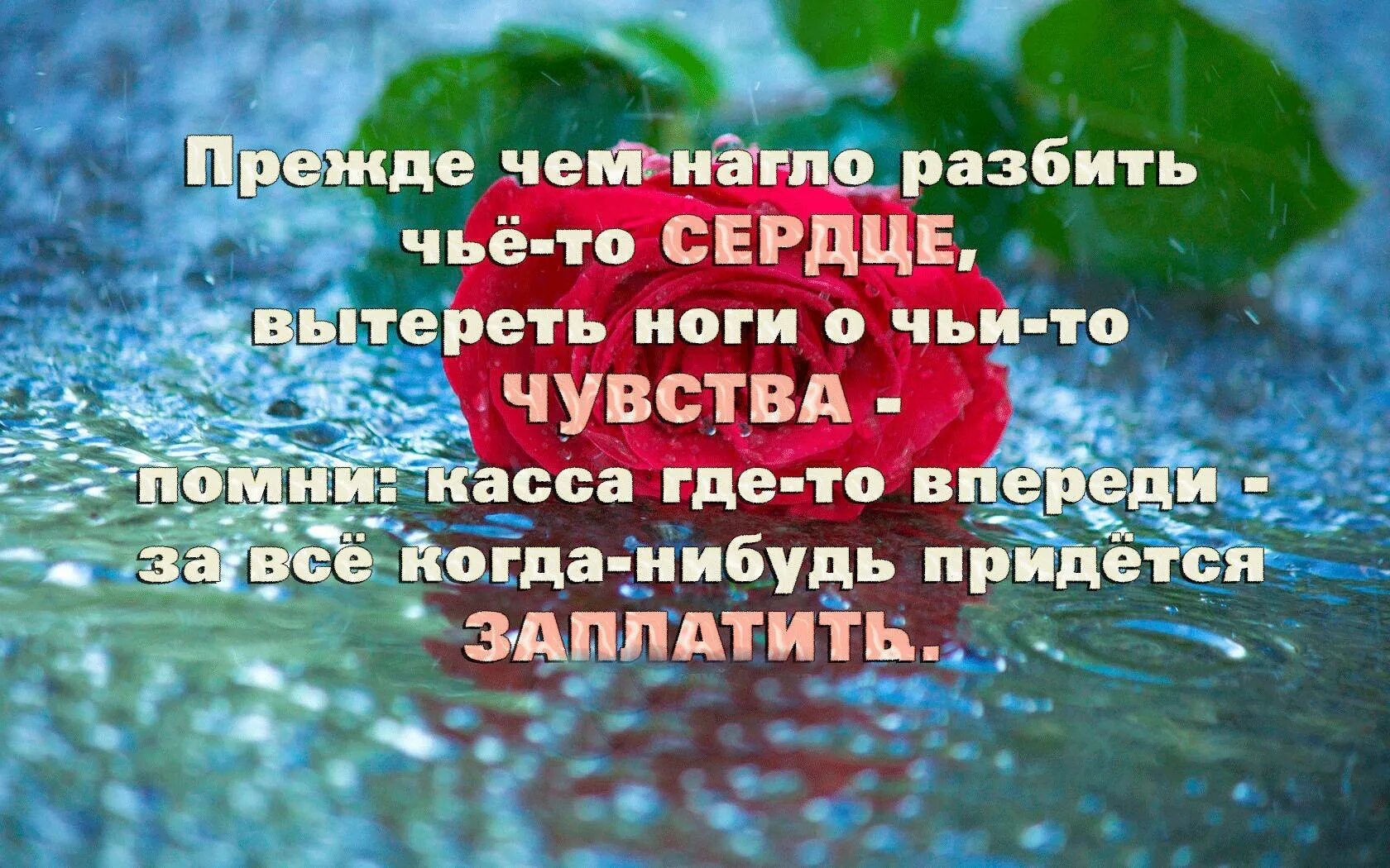 Разбить семью. Вытерли ноги афоризм. Прежде чем разбить чьё то сердце. Цитата вытирают ноги. Об доброту вытирают ноги цитаты.