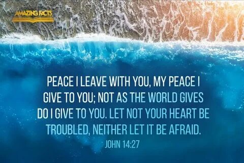 John 14