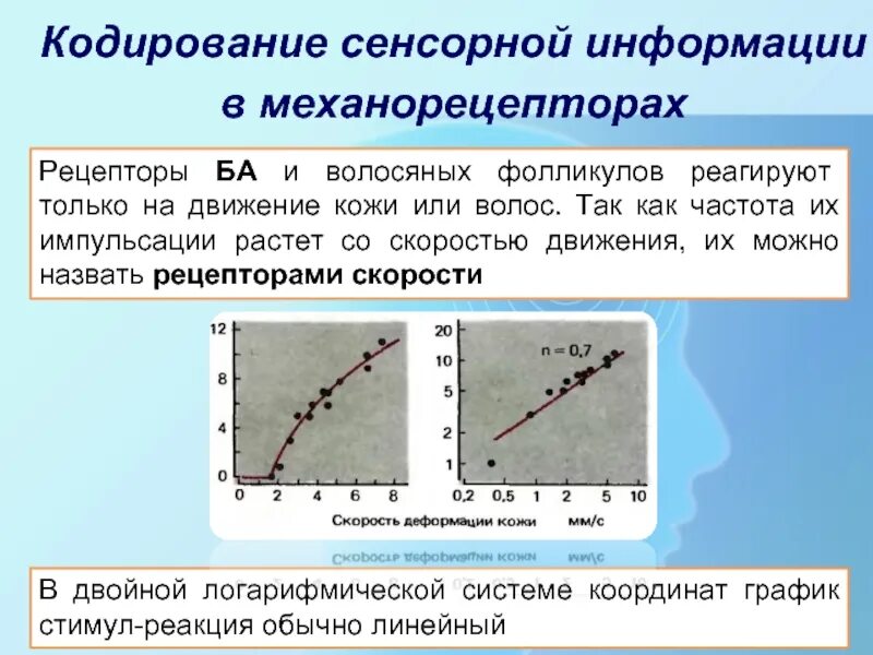 Кодирование сенсорной информации. Кодирование сенсорной информации на уровне рецепторов. временное кодирование сенсорной информации. кодирование сенсорной информации на уровне рецепторов физиология.