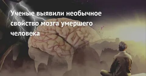 Мозги умершего человека