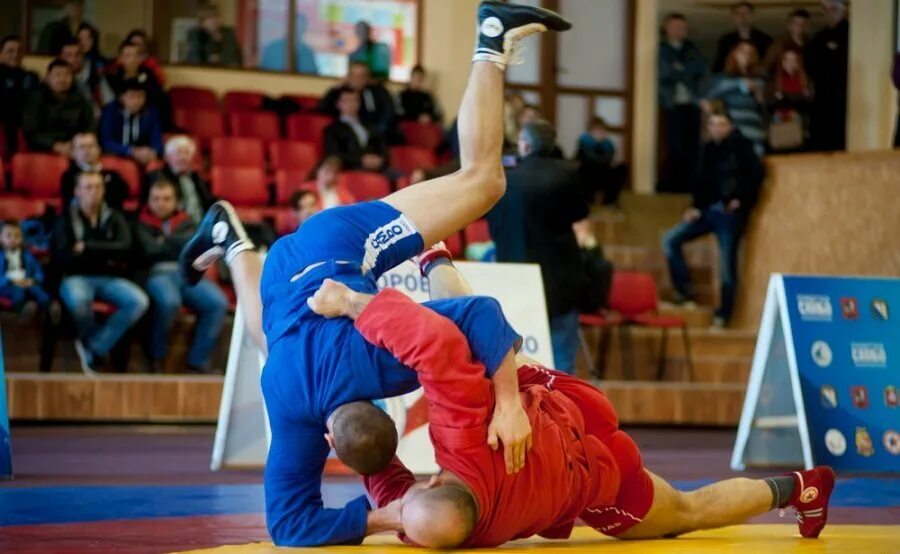 Агамиров расим дзюдо. Борьба самбо и дзюдо. Вольная борьба и самбо. Judo спорт. Самбо или вольная борьба.