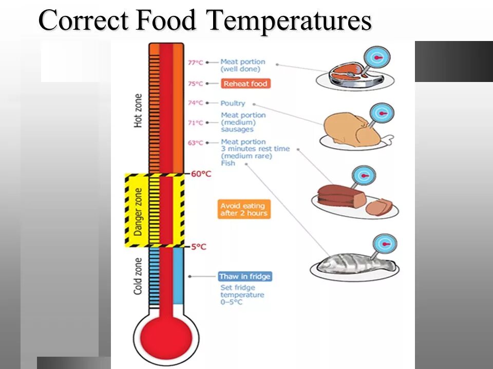 Correct foods. Temperature. Схема фритюре temperature selection. Схема.температура-пища человека. Temperature correction Table.