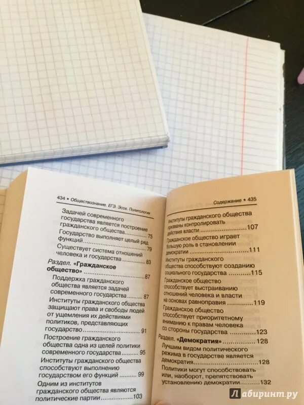 Эссе демократии. Политология ЕГЭ Обществознание. Гражданское общество эссе. ЕГЭ по обществознанию книга Баранов.