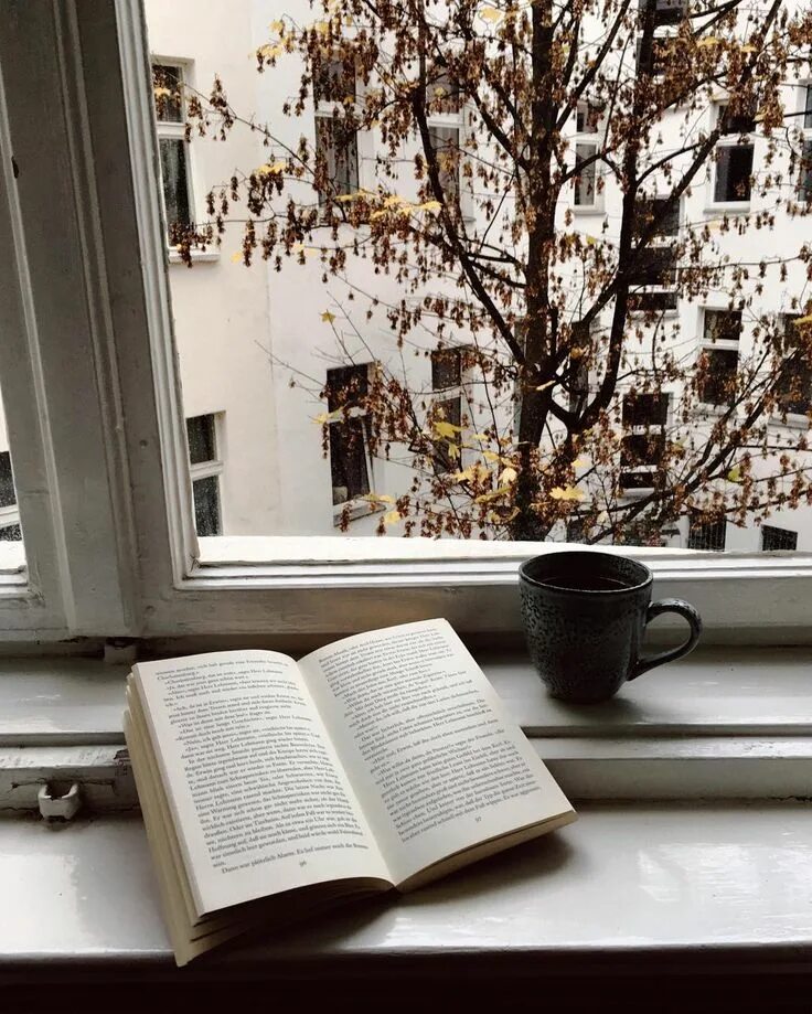 Из ее окна книга. Книга на окне. Книга на столе у окна. Окна книжка. Вид из окна с книгой.