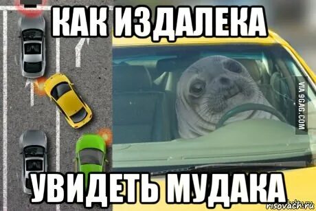 Далекий заметить