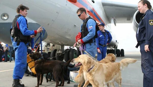 Государственная спасательная служба мчс россии. Отряд Центроспас МЧС России. Аэромобильный отряд МЧС РФ, отряд Центроспас. Служба МЧС России (поисково – спасательная служба). Кинологической службы отряда «Центроспас»..