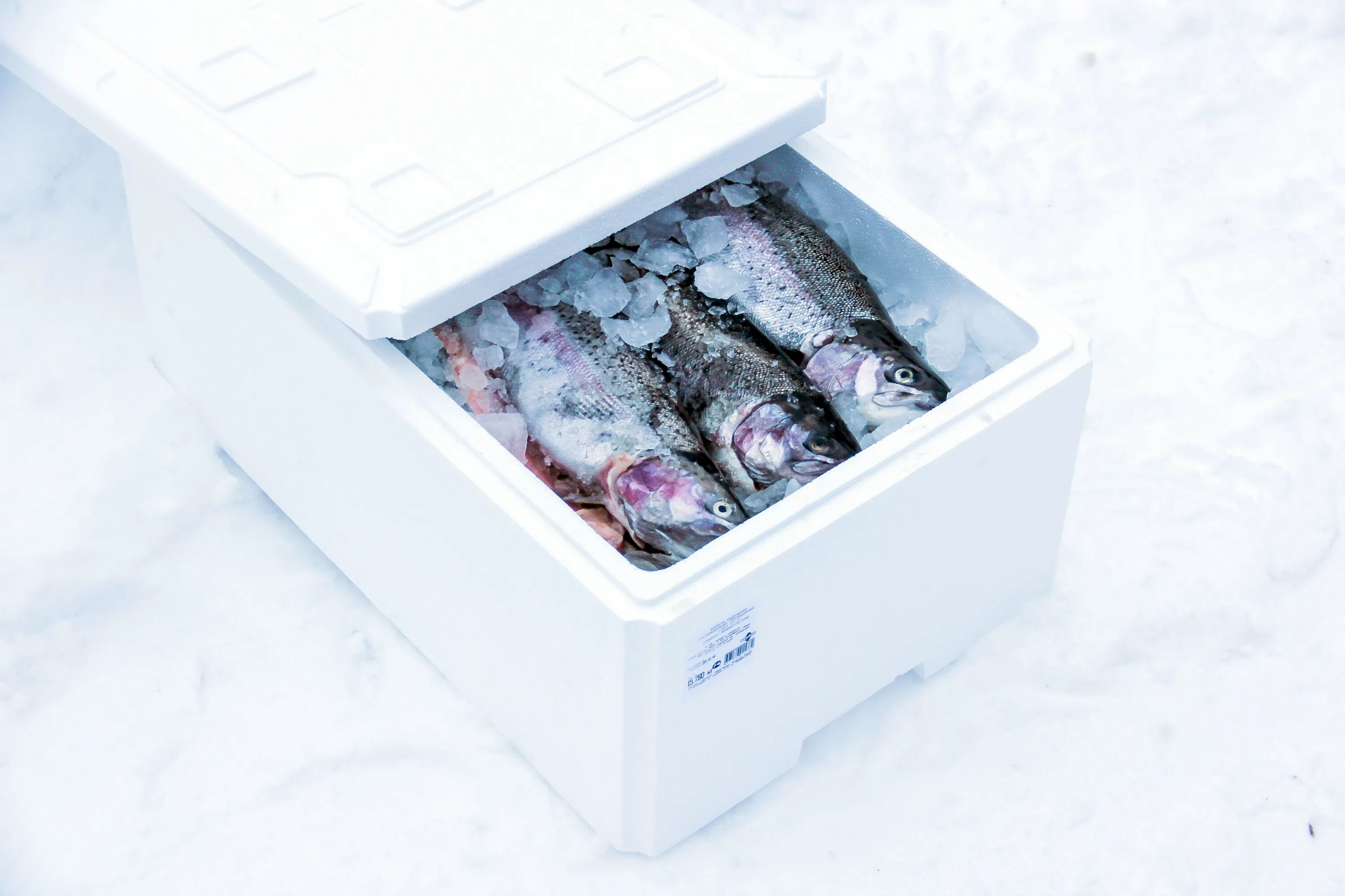 Хранения мороженой рыбы. Упаковка охлажденной рыбы. Замороженная рыба в упаковке. Рыба в коробке замороженная. Ящик для замороженной рыбы пенопластовый.