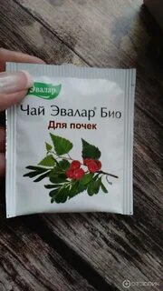 Эвалар почечный
