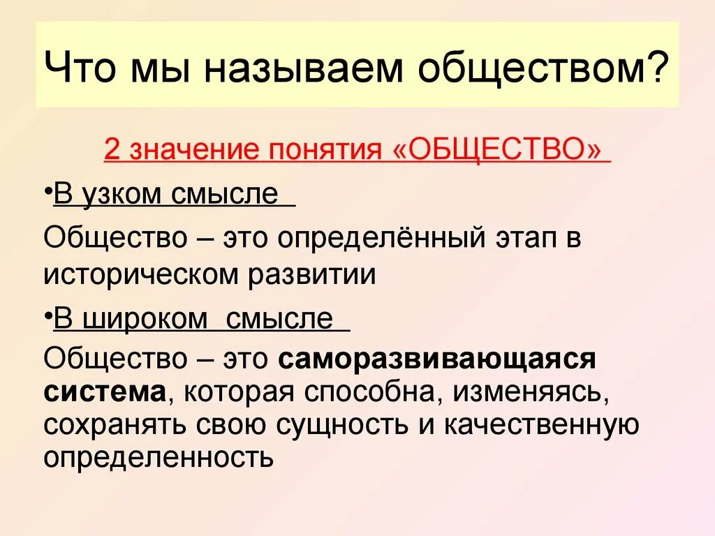 Как назвать общество женщин. Что мы называем обществом. Что называют обществом. Что мы называем обществом кратко. Общество в широком смысле называют.