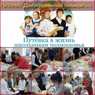 Проект путевка в жизнь