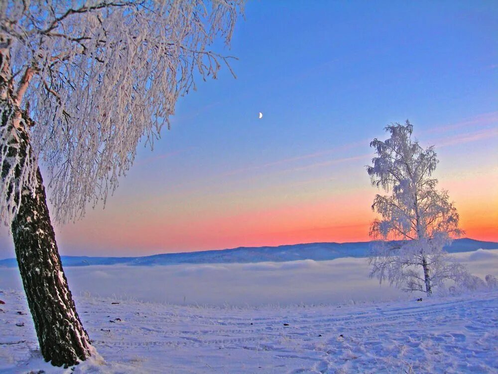 Солнечный зимний день. Утреннее небо зимой. Морозное утро. Заря зимой береза.