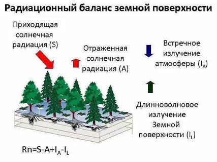 Баланса земное