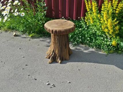 Чудесный пень