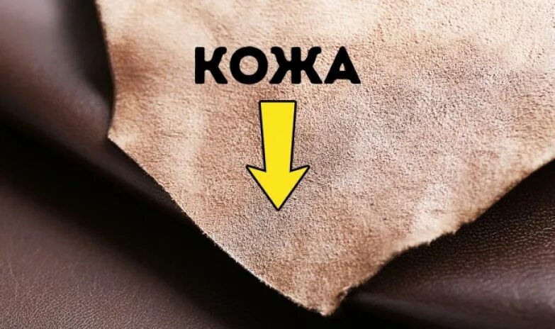 Как определить искусственную кожу