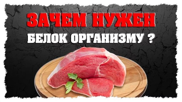 Зачем нужны белки. Для чего нужен белок для организма человека. Для чего нужен белок для организма человека. Для чего нужны белки жиры и углеводы. Сообщение пища и питательные вещества.