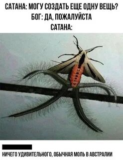 Почему дьявола
