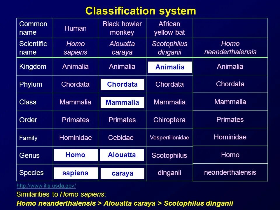 Classification system