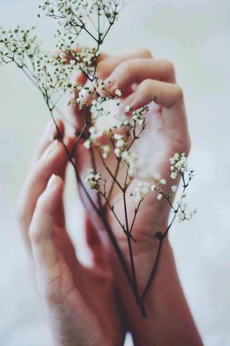 Руки цвета весны. Красивые цветы в руках. Эстетические цветы. Нежные женские руки. Цветок на руку..