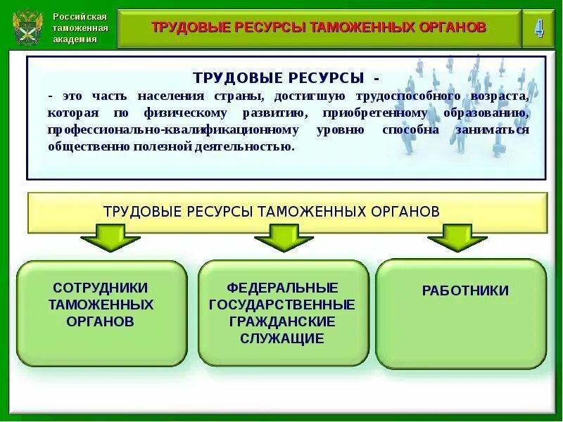 Ст в таможенном деле