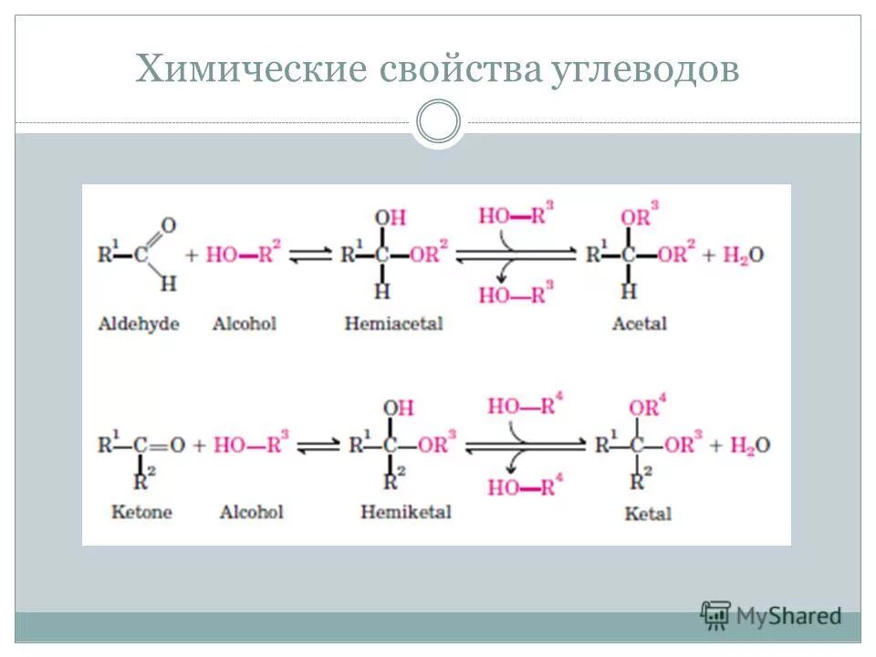 химический состав и свойства углеводов. химический состав и свойства углеводов. химический состав и свойства углеводов. особенности и функции углеводов. химический состав и свойства углеводов.