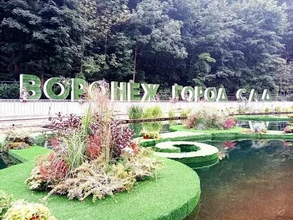 Сады 2023 года