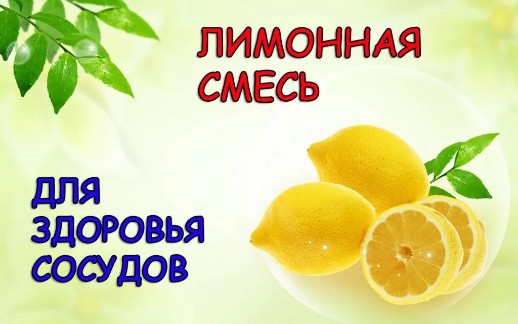мед с лимоном. мед с лимоном. народный метод очистки сосудов. лимоны для сосудов рецепт. лимон чеснок и мед для чистки сосудов.