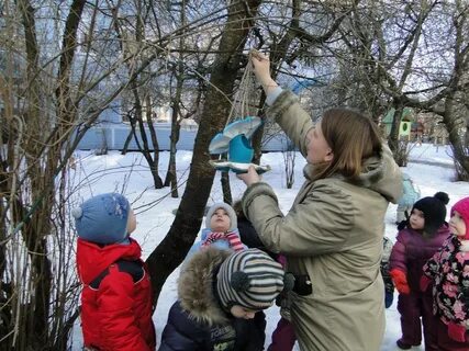 Акция в саду покормите птиц зимой