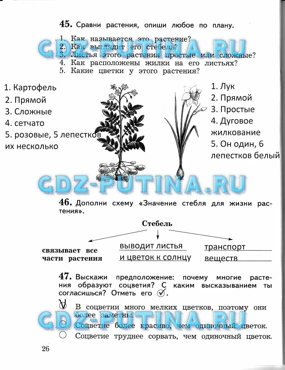 Окружающий мир 3 класс виног. Виноградова окружающий мир 3 класс 1 часть. Гдз окружающий мир рабочая тетрадь 3 класс 1 часть страница 26. Части растений окружающий мир 3 класс рабочая.