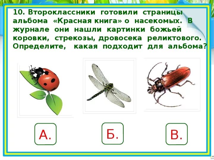 Проверочная работа по теме насекомые 7 класс. Проверочная работа по теме насекомые 7 класс