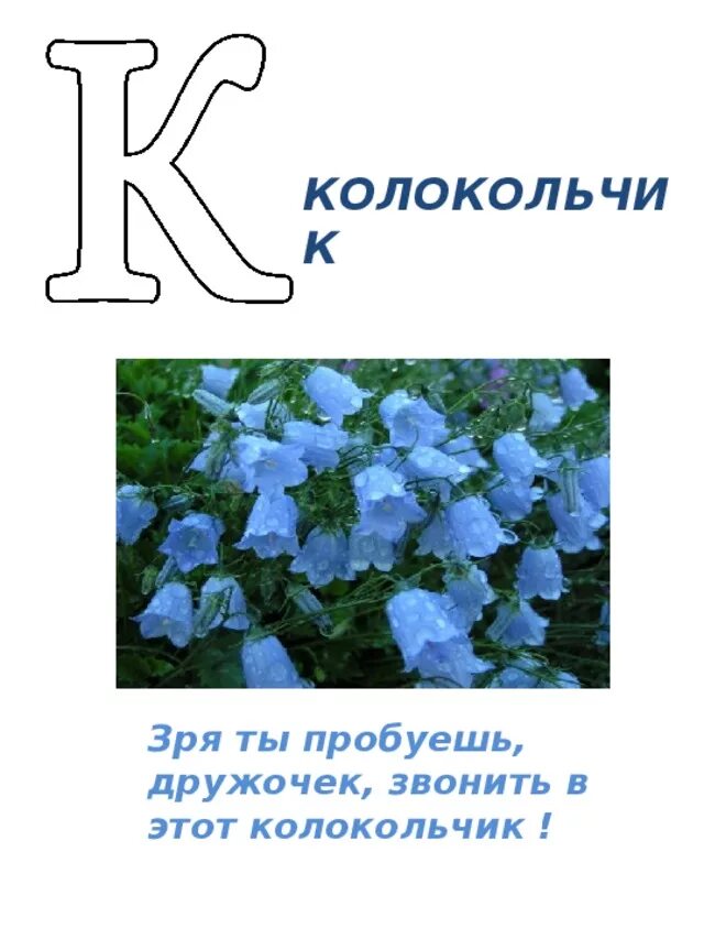 Б класс цветы. Б класс цветы