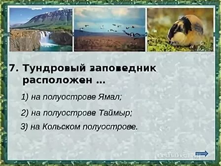 Тест по теме природные зоны 1 вариант. Тест по теме природные зоны 1 вариант